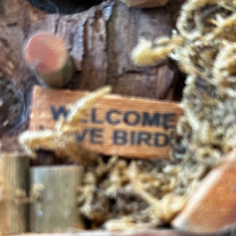 ⭐️ Wilcor Handcrafted Wood Design Love Shack Mini Bird‎ House Welcome Outdoor